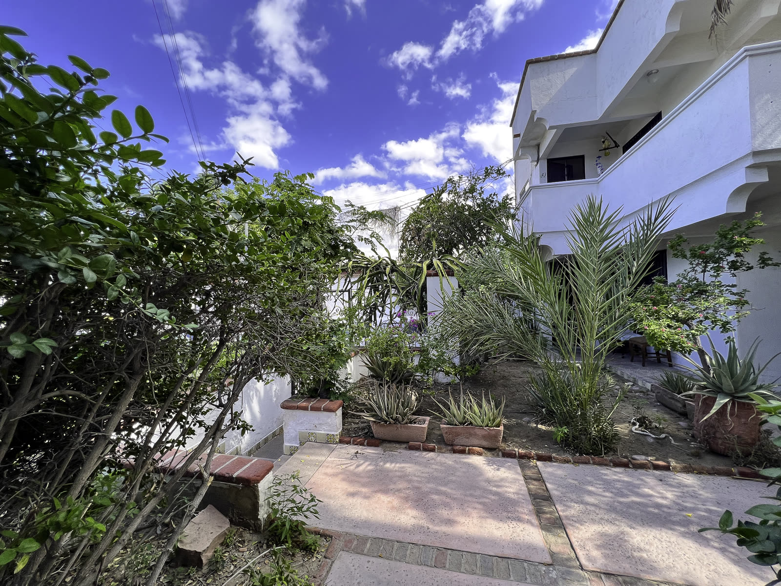Casa Blanca — 4